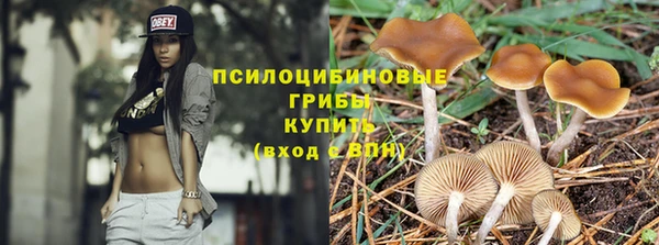 первитин Навашино