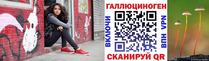 хочу наркоту Константиновск Галлюциногенные грибы Cubensis
